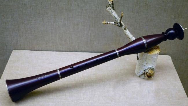 十大最冷门乐器 牛角匏最为冷门